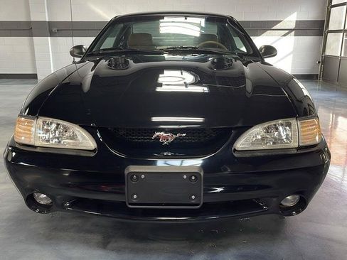 Used 1996 Ford Mustang Cobra RWD image 5