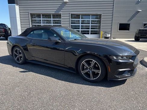 Used 2024 Ford Mustang Premium RWD image 2