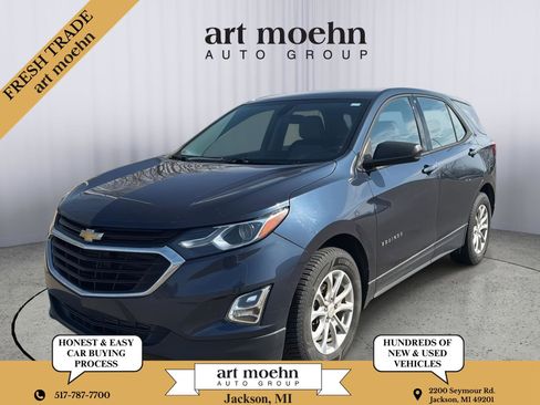 Used 2019 Chevrolet Equinox LS image 1