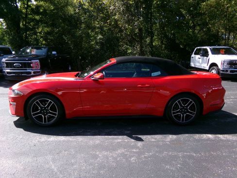 Used 2020 Ford Mustang Premium RWD image 7