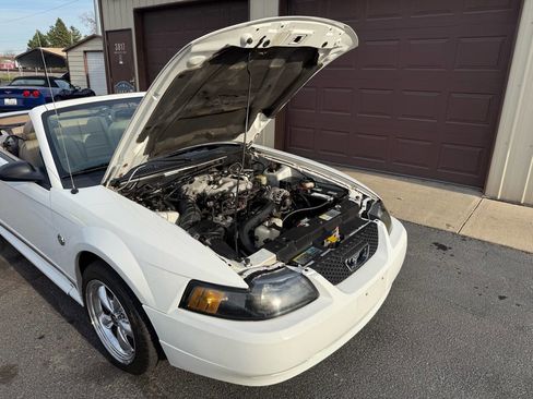 Used 2004 Ford Mustang Deluxe Convertible image 62