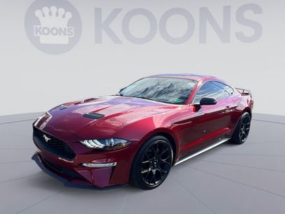 Certified 2019 Ford Mustang Premium w/ Ecoboost Performance Package