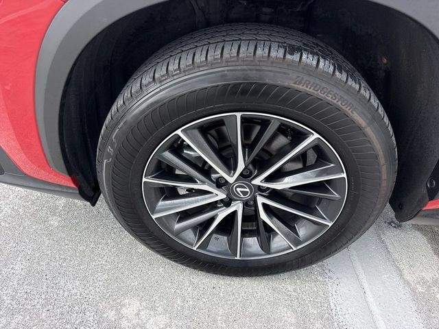 Certified 2024 Lexus NX 250 FWD w/ Cold Area Package image 10