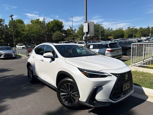 Used 2025 Lexus NX 350h AWD w/ Cold Area Package image 2