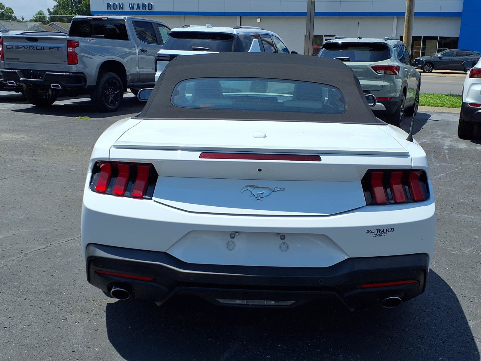 Used 2024 Ford Mustang Premium RWD image 13