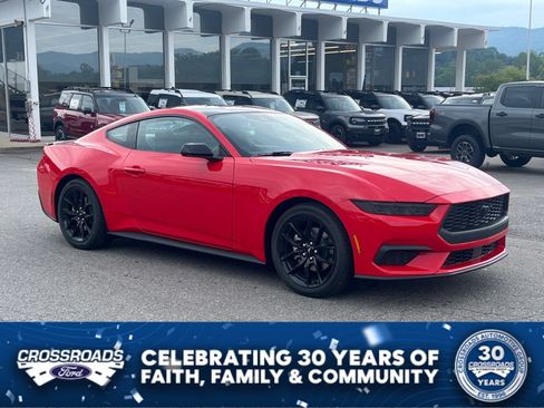 New 2026 Ford Mustang Coupe w/ Mustang Nite Pony Package RWD image 1