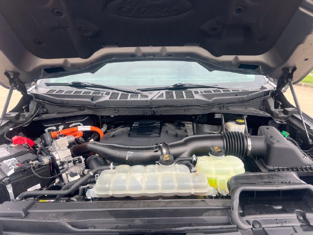 Used 2021 Ford F150 Limited AWD/4WD image 15