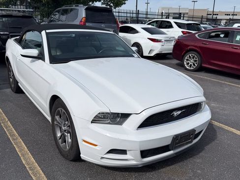Used 2014 Ford Mustang Premium RWD image 1