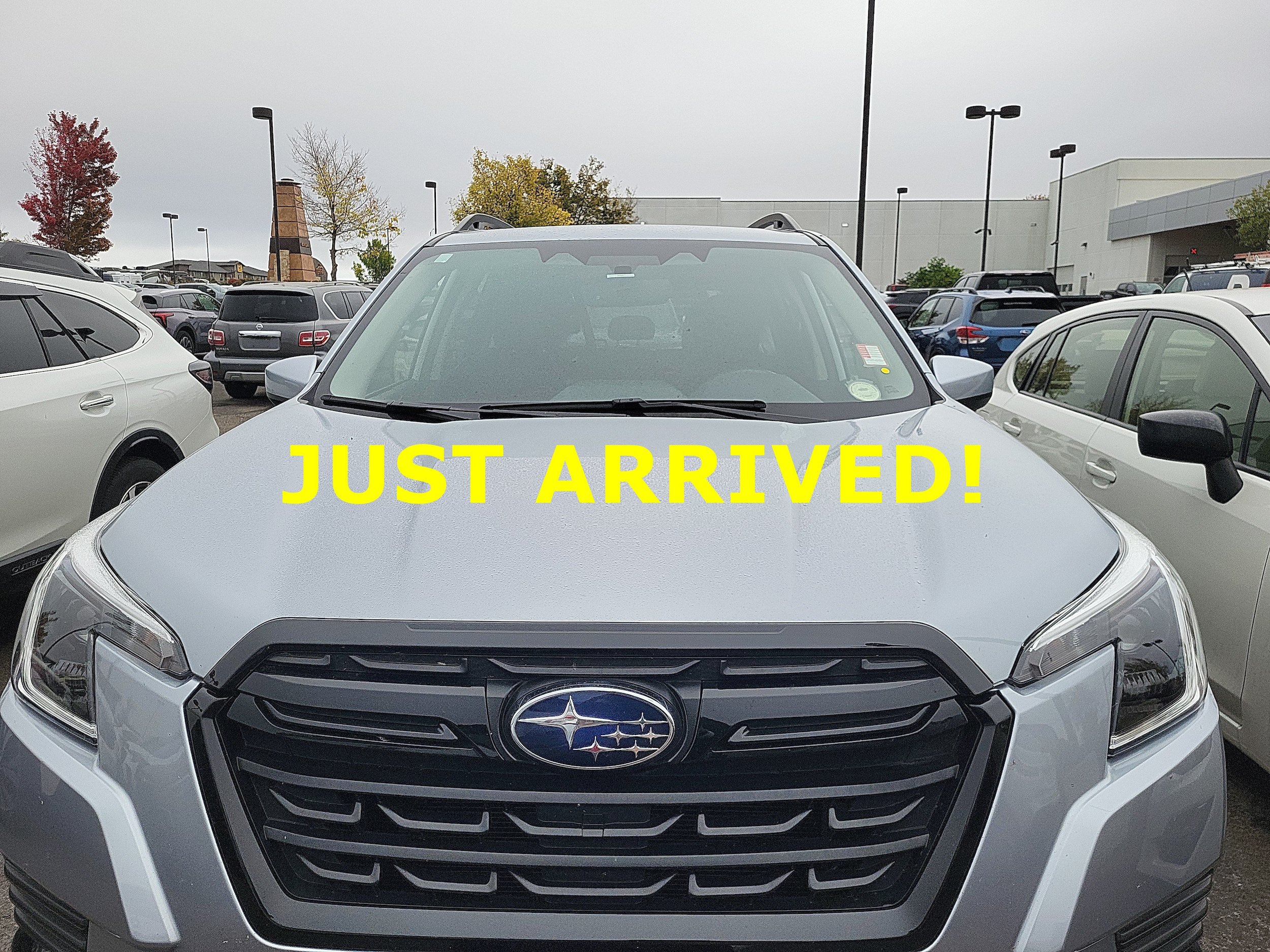Used 2024 Subaru Forester Premium AWD/4WD image 2