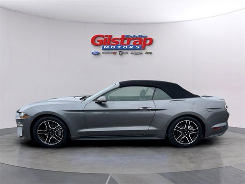 Used 2022 Ford Mustang Premium image 3