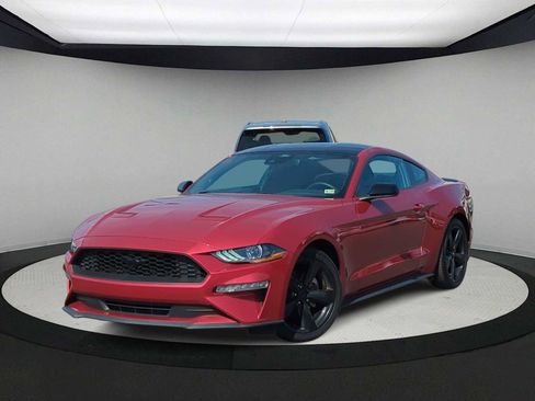 Used 2021 Ford Mustang Coupe w/ Equipment Group 101A image 1