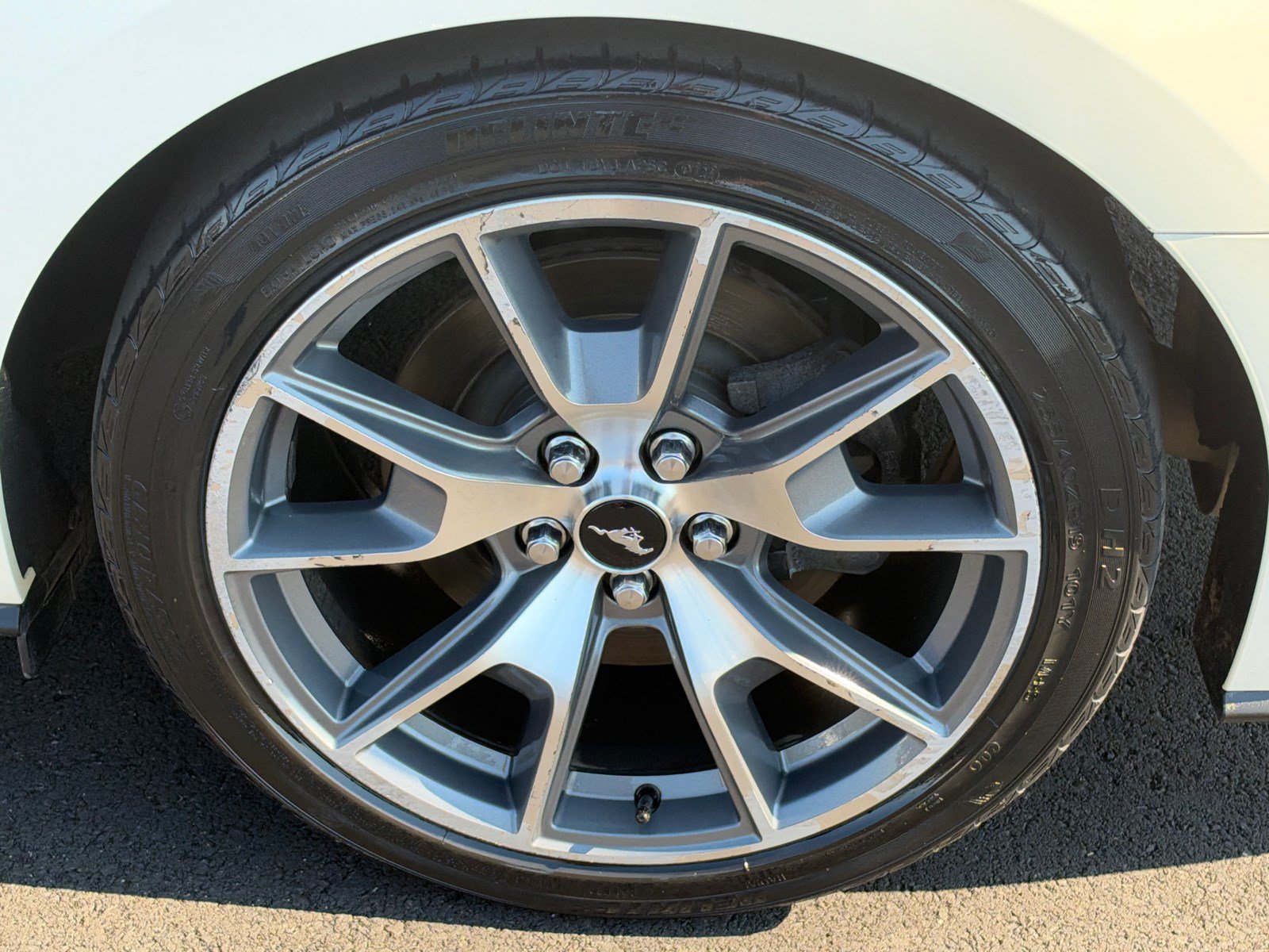 Used 2015 Ford Mustang 50 Years RWD image 17
