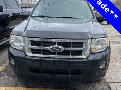 Used 2010 Ford Escape XLT