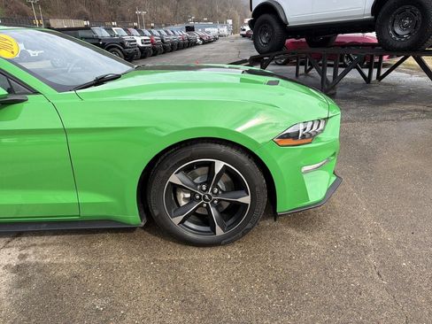 Used 2019 Ford Mustang Coupe RWD image 2