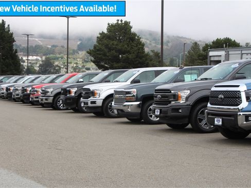 Used 2025 Ford F150 XLT w/ Equipment Group 302A MID image 35