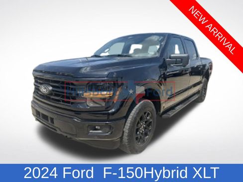 Used 2024 Ford F150 XLT w/ Equipment Group 302A MID AWD/4WD image 1