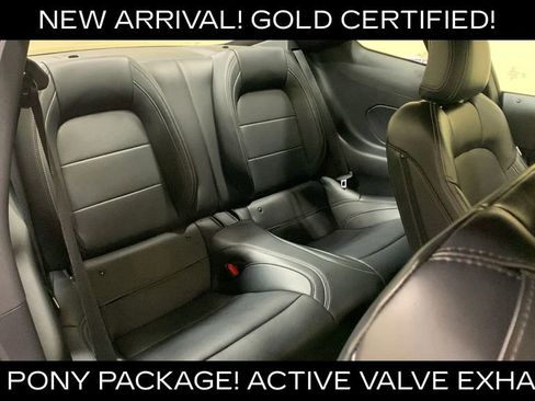 Certified 2025 Ford Mustang GT Premium w/ Mustang Nite Pony Package RWD image 14
