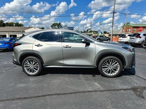 Used 2025 Lexus NX 350h AWD w/ Cold Area Package image 9