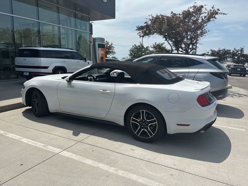 Used 2019 Ford Mustang Premium RWD image 4