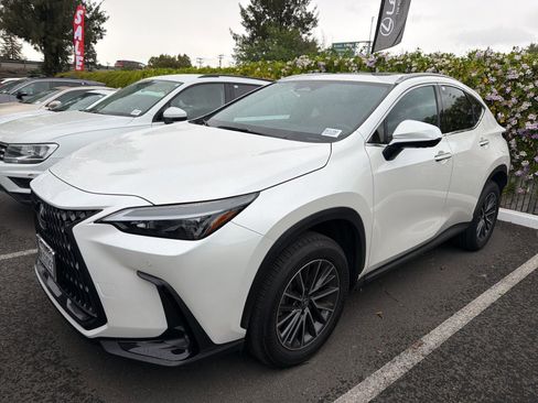 Used 2024 Lexus NX 350h AWD w/ Vision Package image 3