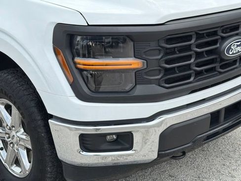 Used 2025 Ford F150 XLT w/ Equipment Group 301A Standard AWD/4WD image 9