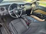 Used 2014 Ford Mustang Coupe w/ Equipment Group 102A image 3