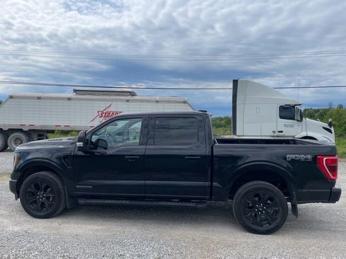 Used 2023 Ford F150 XLT w/ Equipment Group 302A High AWD/4WD image 9