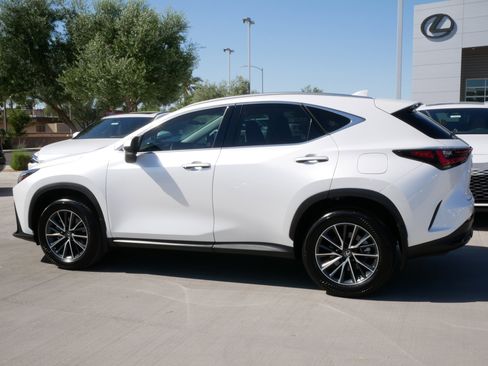 Used 2025 Lexus NX 350h AWD w/ Accessory Package (2T) image 5