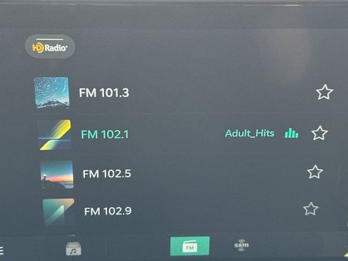 New 2026 Kia Carnival image 19