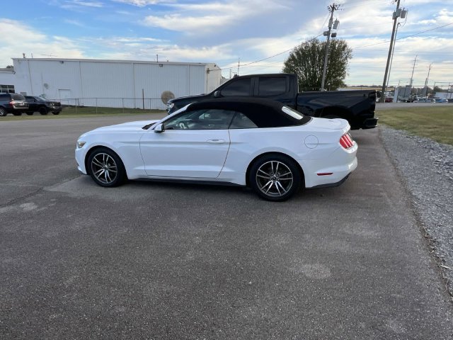 Used 2017 Ford Mustang Premium RWD image 5