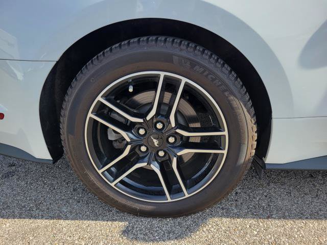 Used 2021 Ford Mustang GT w/ Equipment Group 301A RWD image 5