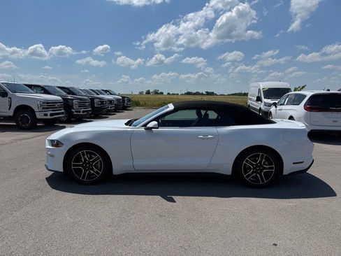 Used 2023 Ford Mustang Premium w/ Equipment Group 201A RWD image 35