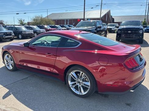 Used 2018 Ford Mustang Premium w/ Equipment Group 201A image 5