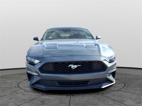 Used 2023 Ford Mustang EcoBoost image 2