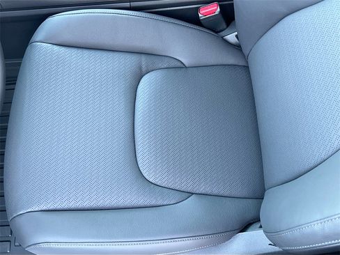 New 2026 Kia Carnival SX Prestige image 14