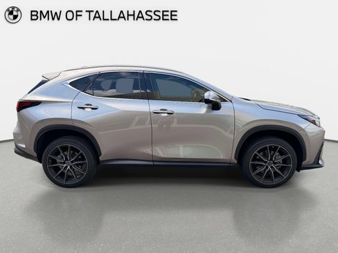 Used 2023 Lexus NX 350 AWD image 5