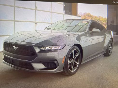 Used 2024 Ford Mustang Premium image 1