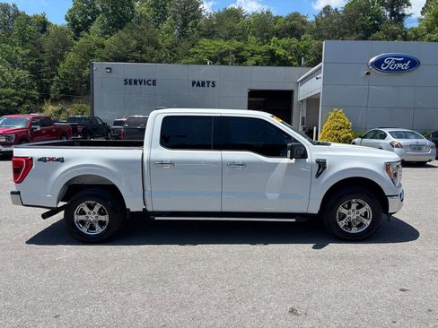 Used 2021 Ford F150 XLT w/ Equipment Group 302A High AWD/4WD image 6