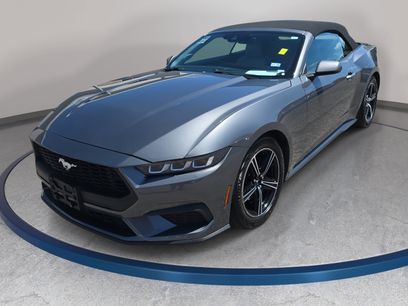 Used 2024 Ford Mustang Premium