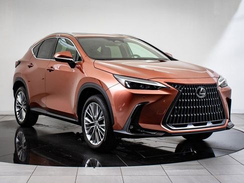 Used 2025 Lexus NX 350 AWD w/ Cold Area Package image 12