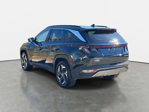 Certified 2024 Hyundai Tucson Limited image 7