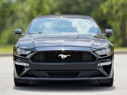 Used 2019 Ford Mustang Premium RWD image 3