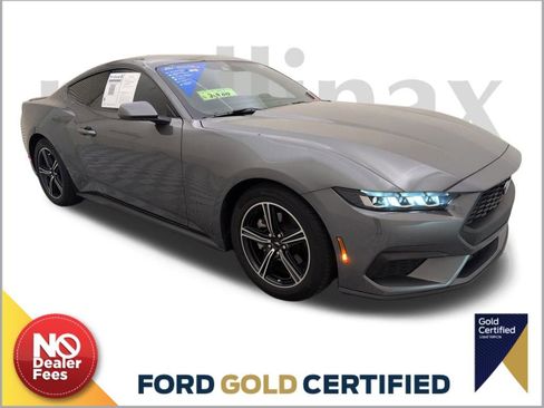 Certified 2024 Ford Mustang Premium image 1