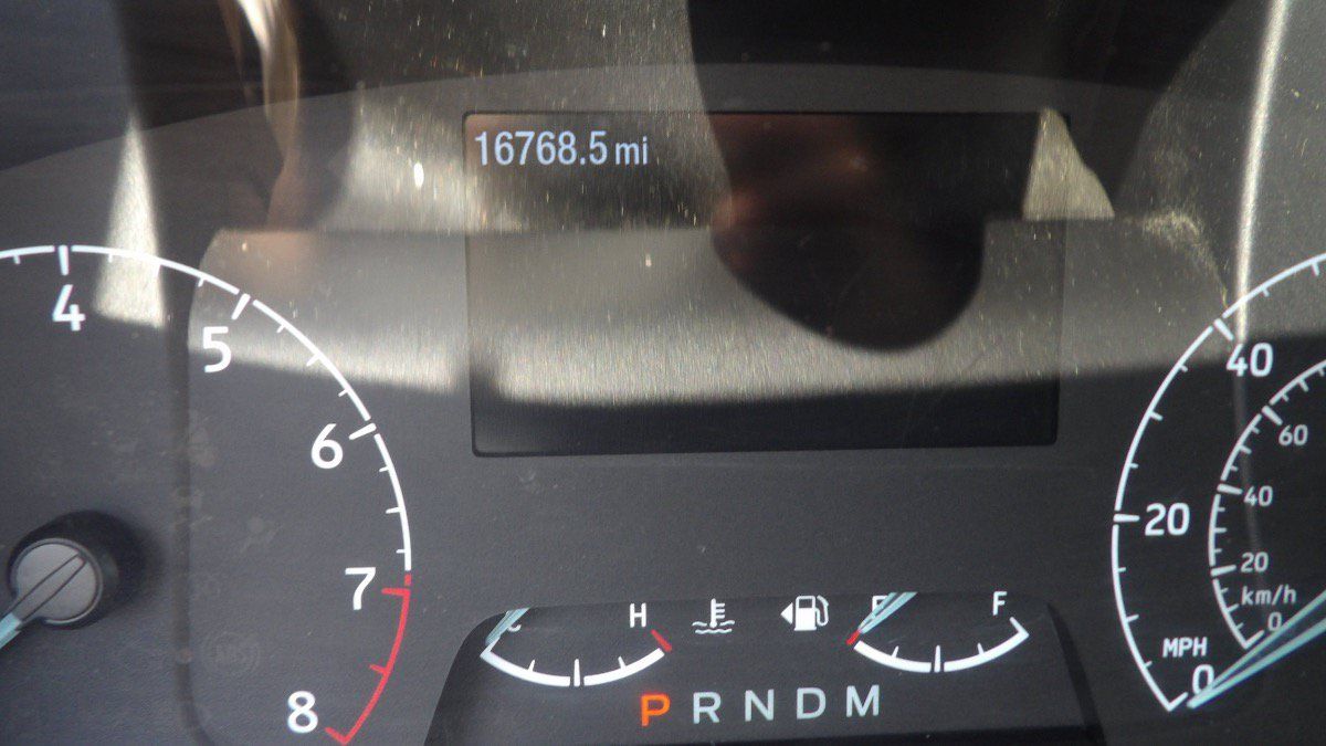 Used 2025 Ford Transit 250 Low Roof w/ Exterior Upgrade Package RWD image 15