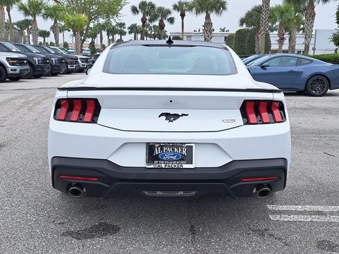 New 2026 Ford Mustang EcoBoost w/ Mustang Nite Pony Package image 8