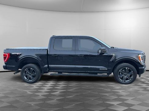 Used 2023 Ford F150 XLT w/ Equipment Group 302A High image 6