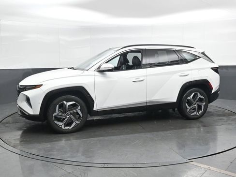 Used 2023 Hyundai Tucson Limited image 8