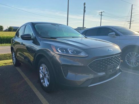 Used 2020 Ford Escape SE AWD/4WD image 2