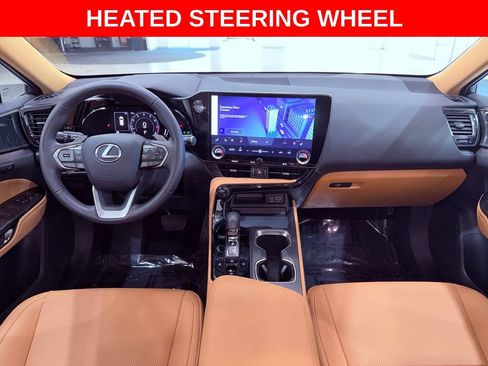 Certified 2025 Lexus NX 250 FWD w/ Cold Area Package image 13
