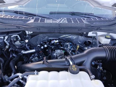 Used 2024 Ford F150 STX w/ STX Black Appearance Package image 14